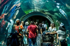 Assiniboine Park & Zoo Journey to Churchill